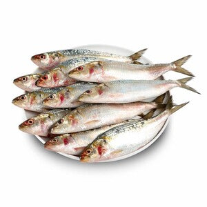 Fish Ooma (Sardine)