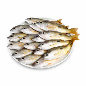Fish Naiser