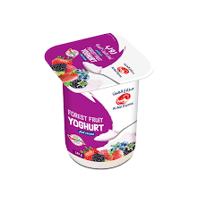 Al Ain Forest Fruits Yogurt With Fruit