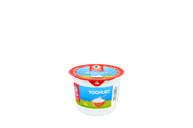 Chtoora Yoghurt 100gm Pack Of 6