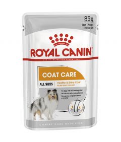 Royal Canin Coat Care Wet Dog Food 85g Pouch