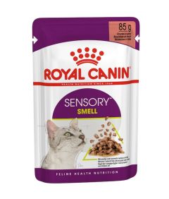 Royal Canin Sensory Smell in Gravy Wet Cat Food 85g Pouch