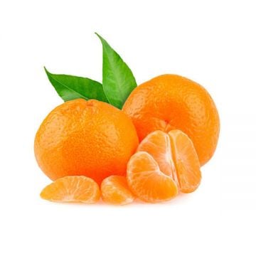 Mandarine Egypt