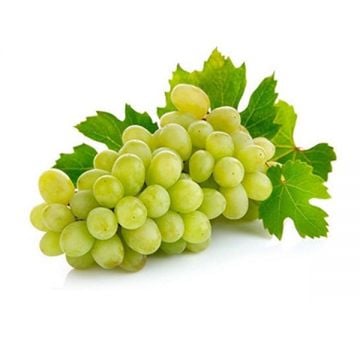 Grape White 500gm India