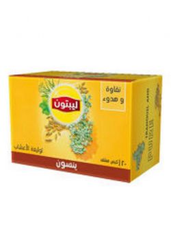 Lipton Tea Anise Seed (San) 20