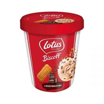 Lotus Ice Cream With Belgian Choco Chip