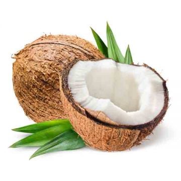 Coconut India