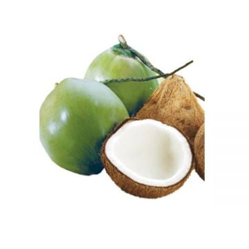 Coconut Whole Vietnam