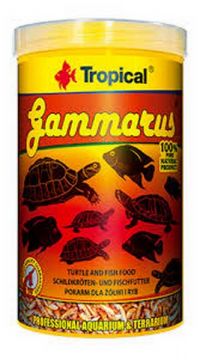 Tropical Gammarus Food For Turtles