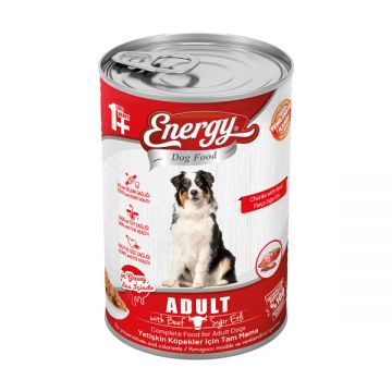 Energy Adult Dog Cat Food With Beef 400gm
