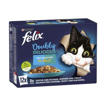Purina Felix Cat Food Doubly Delicious Fish Selection 12x85gm
