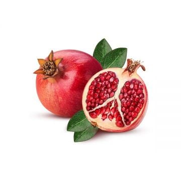 Pomegranate Red Syria